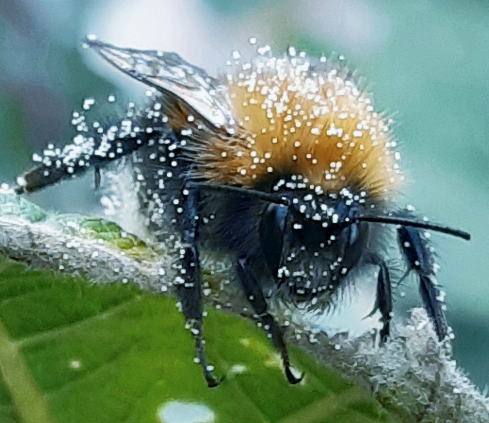 Photograph by Ольга Александрова