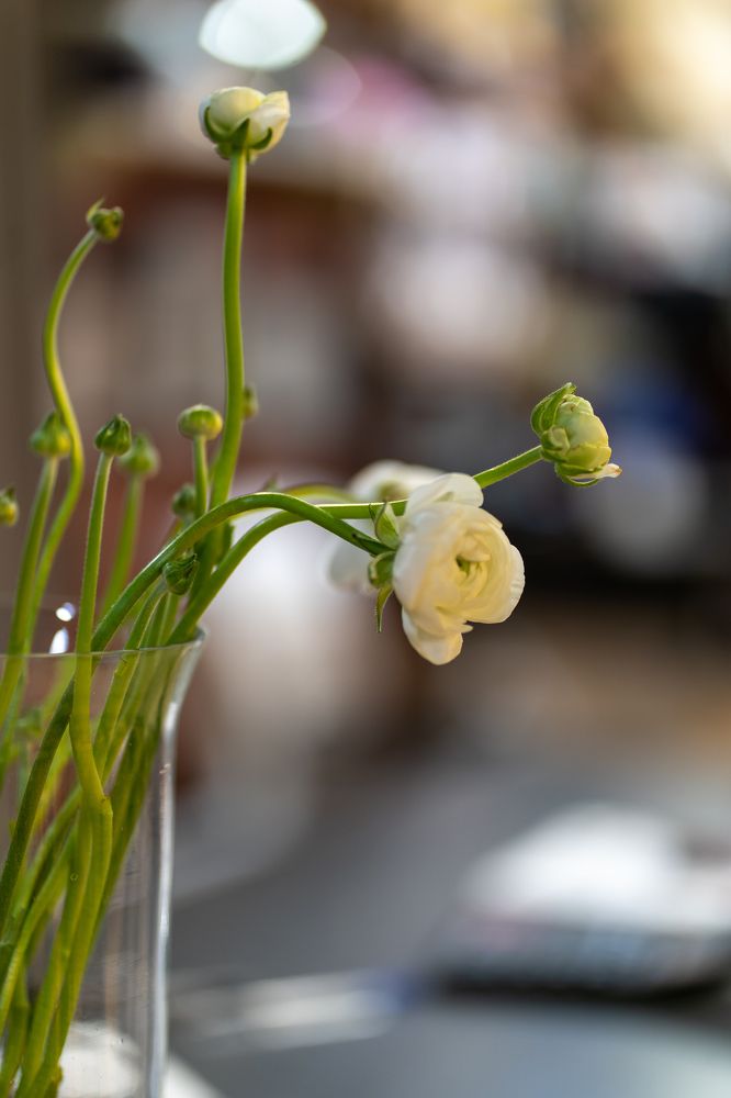 Photograph by Оксана Антипова