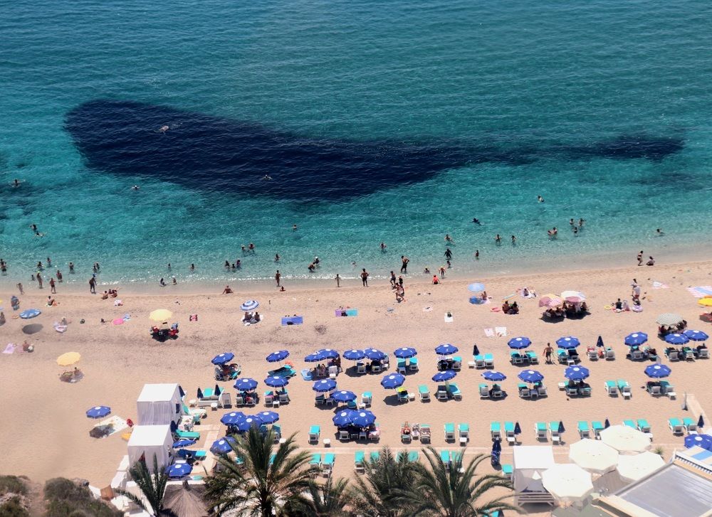 Photograph by Алексейчик Дмитрий