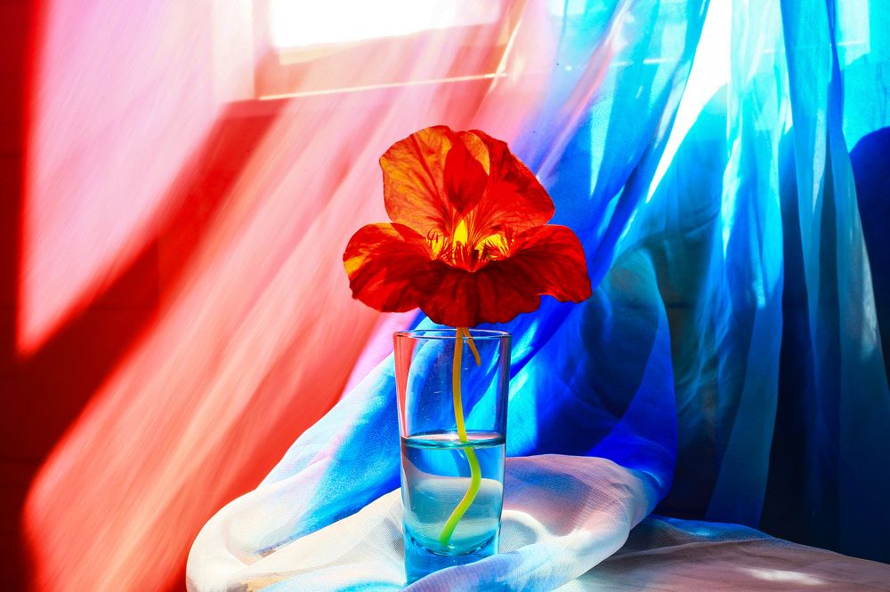 Photograph by Катя Филиппова