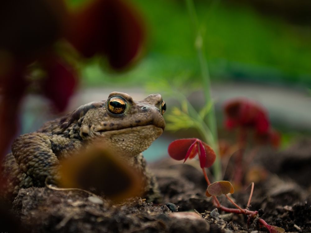 Photograph by Владислав Якушев