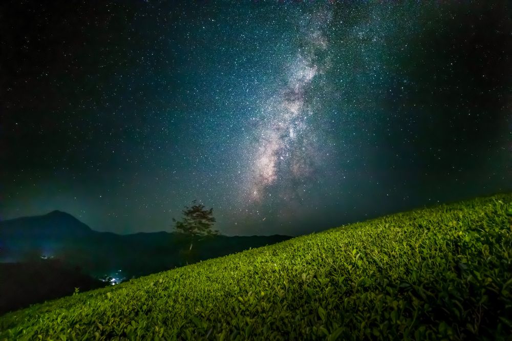 See the Milky Way on the tea hill