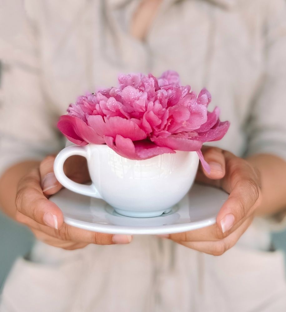 Photograph by Vialeta