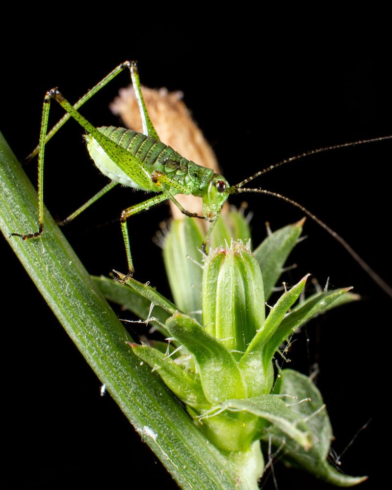 Photograph by Екатерина Талалай