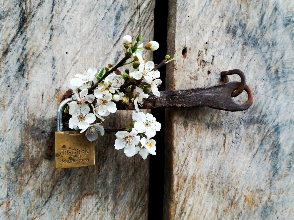 Photograph by Masoumeh Rahimi