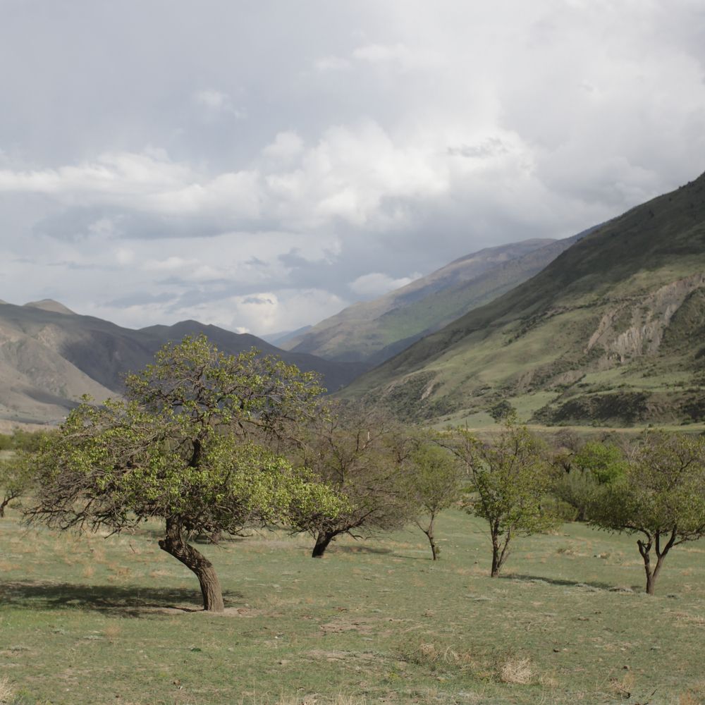 Photograph by Дарья Комарова