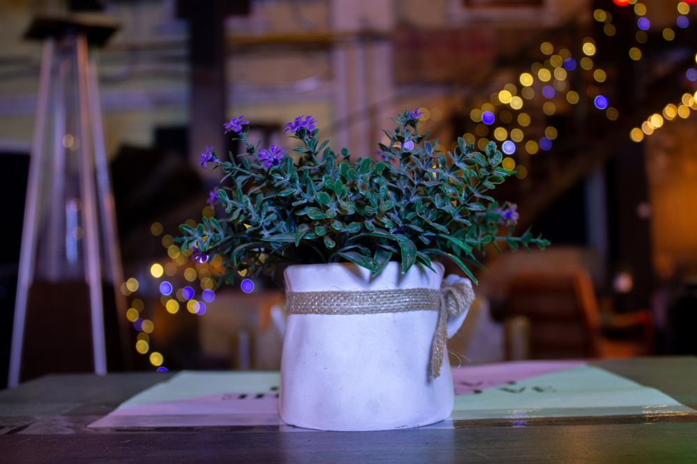 Photograph by Андрей Хлюстов