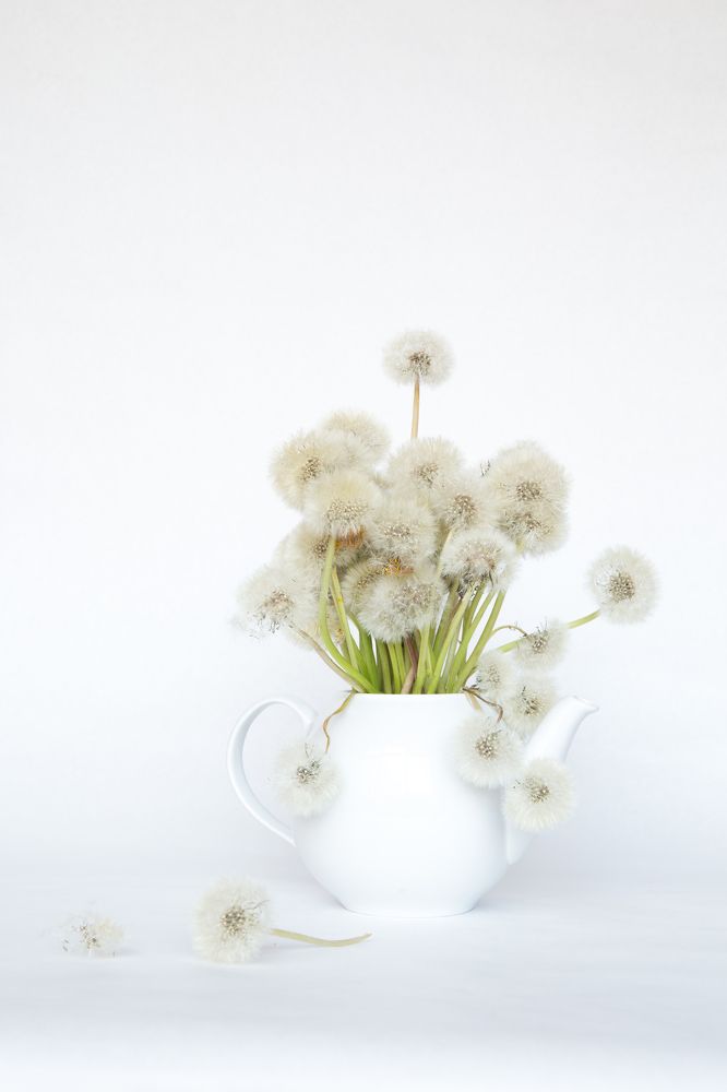 Photograph by Мария Пичугина