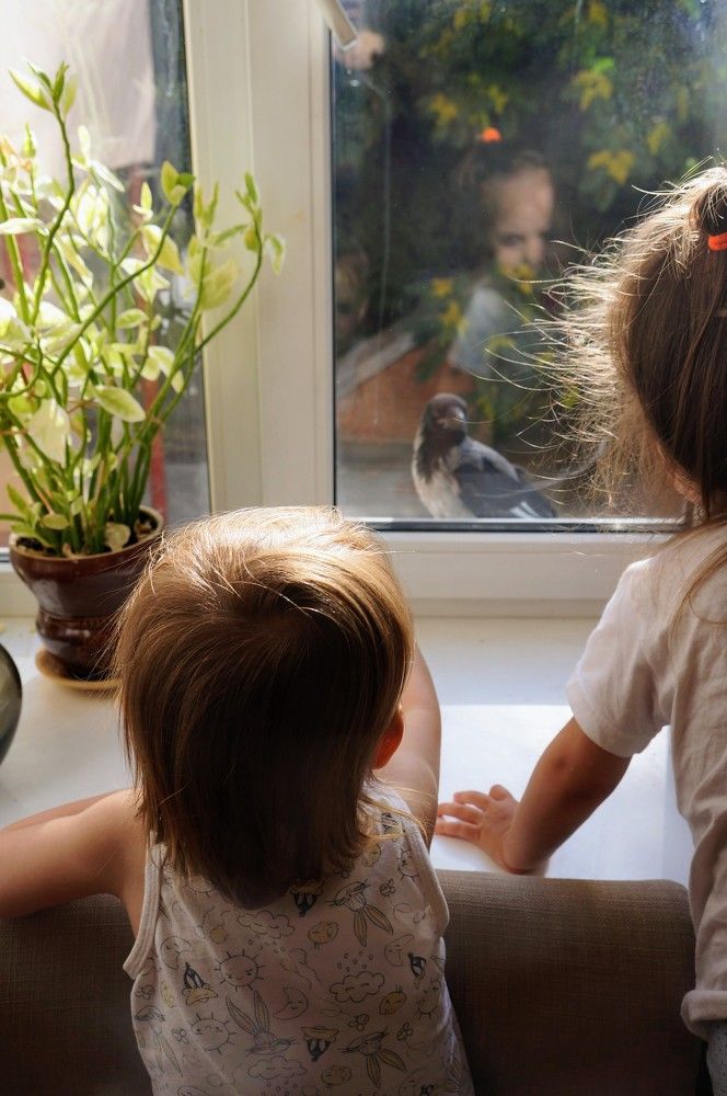 Photograph by Дарья Погонцева