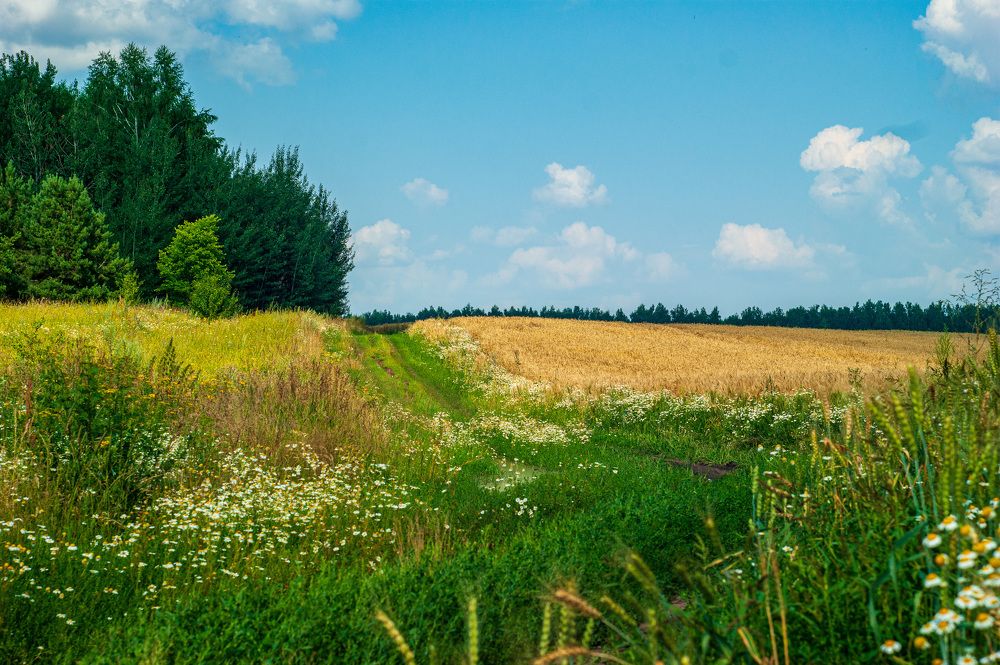 Photograph by Дмитрий Ряховский
