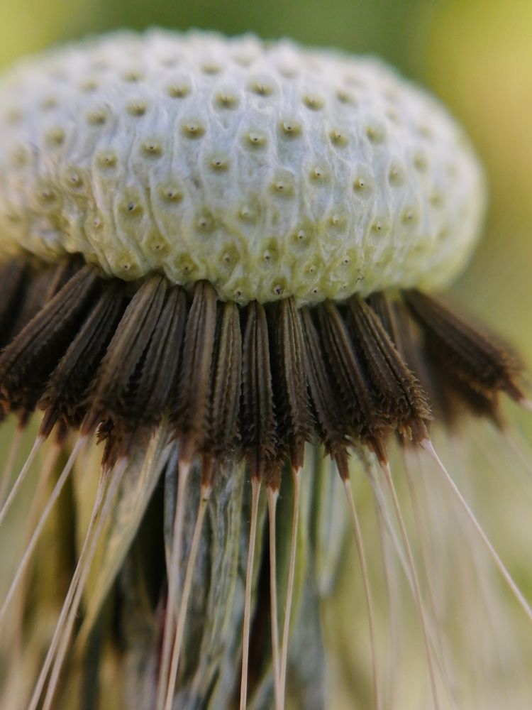 Фотография автора Евгения Снигирева