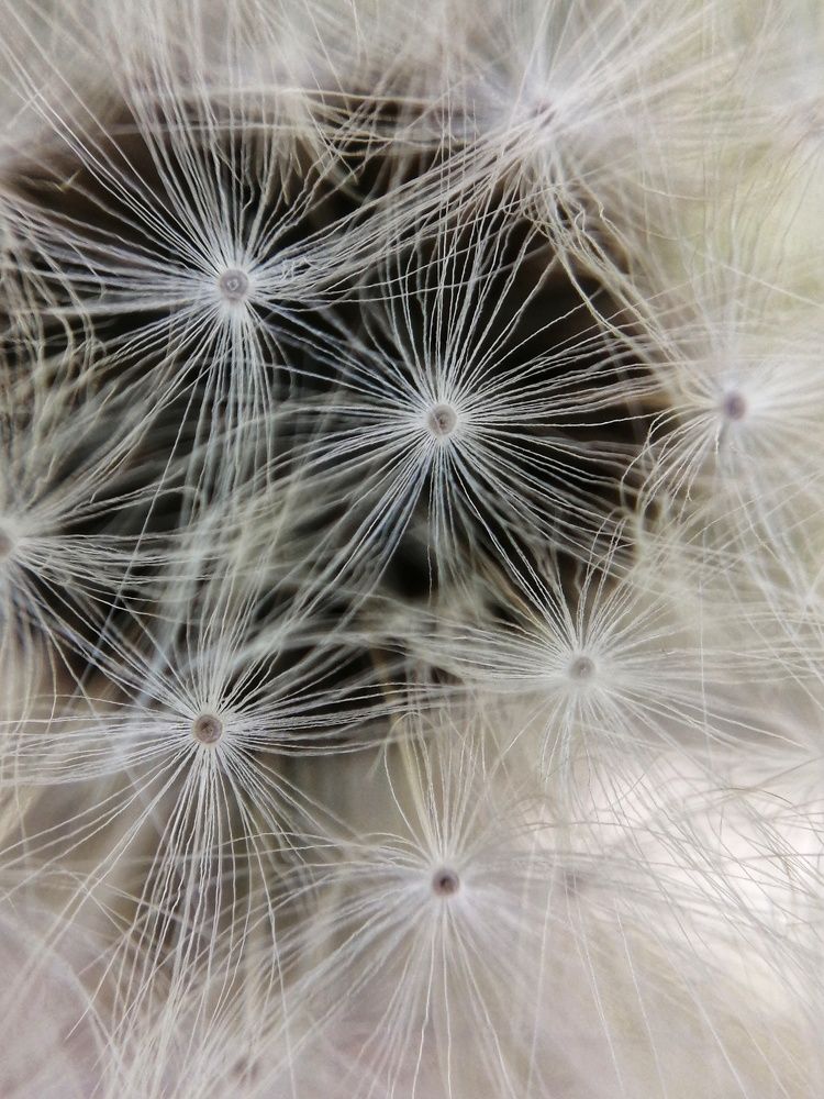 Фотография автора Евгения Снигирева