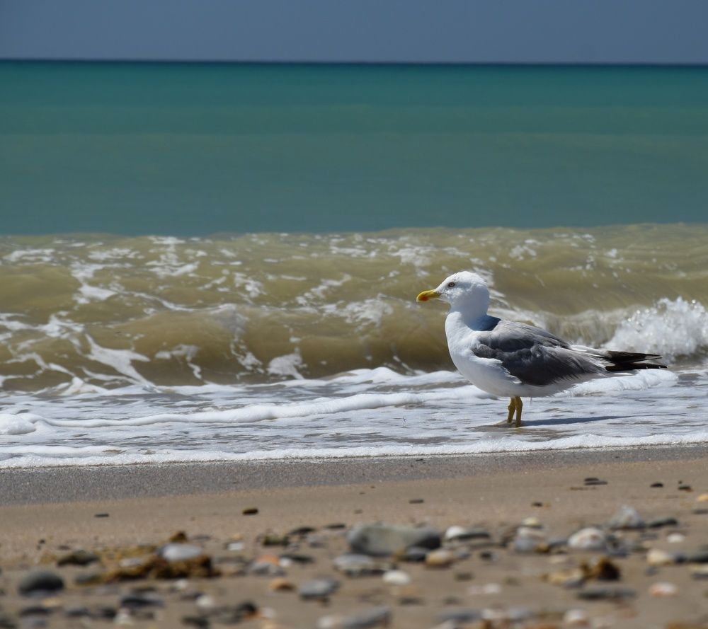 Photograph by Maiya Bulatova