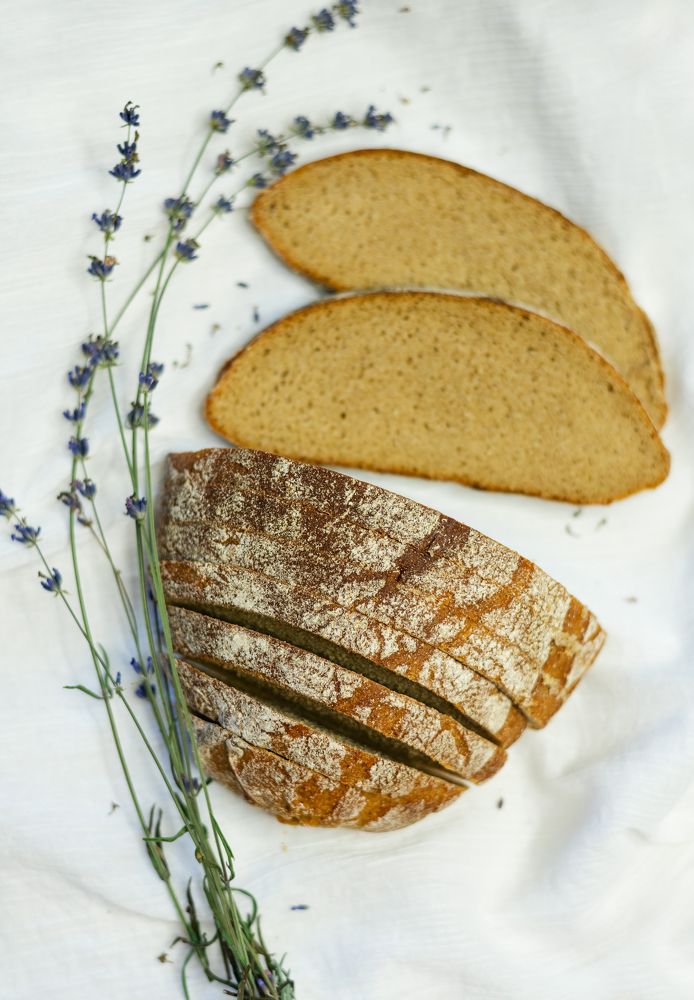 Фотография автора Алёна Подгорная