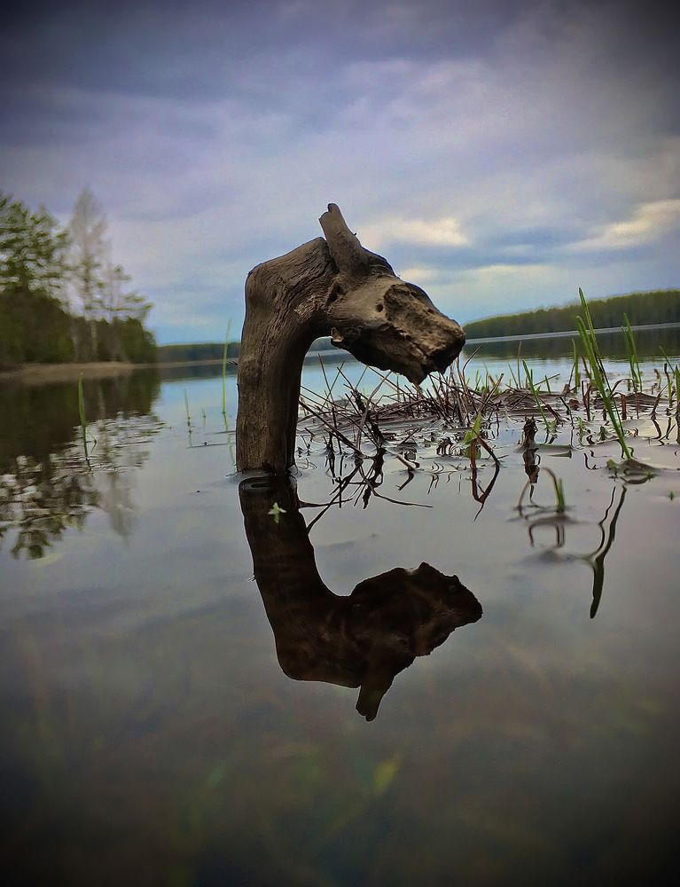 Photograph by Михаил Ершов