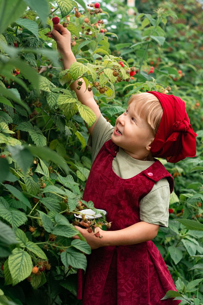 Photograph by Елена Плотникова