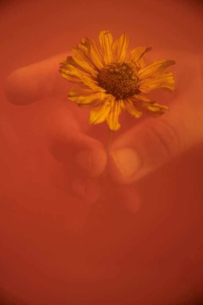 Фотография автора Александр По