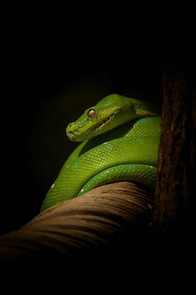 Фотография автора Jaroslav Hanzalík