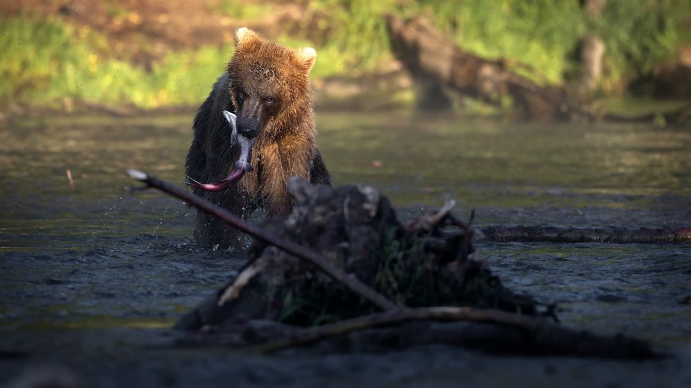 Попробуй отними!