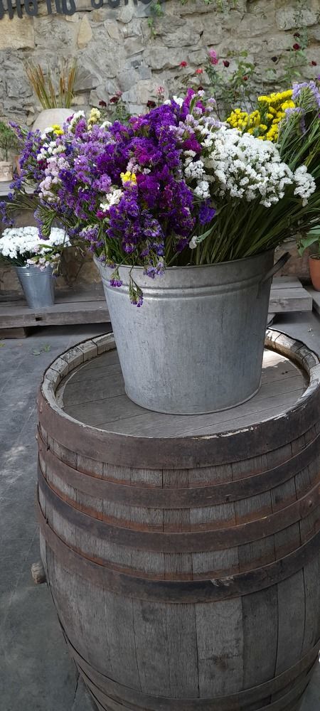 Фотография автора Revaz Topuria