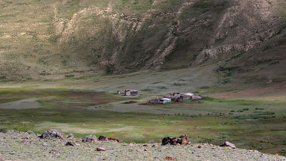 Photograph by Дарья Комарова