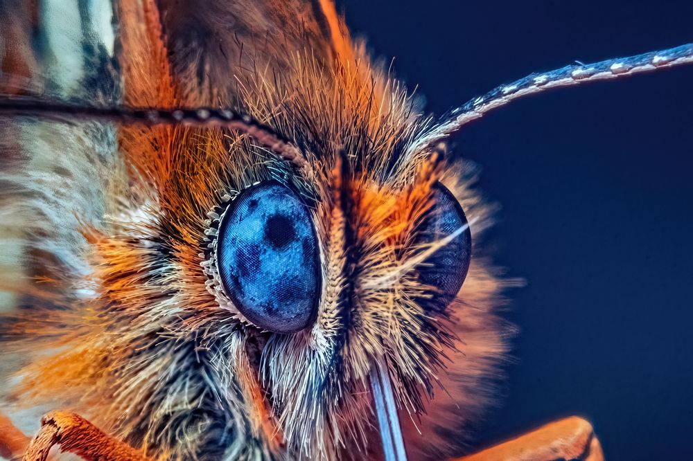 Photograph by Парфентьев Антон