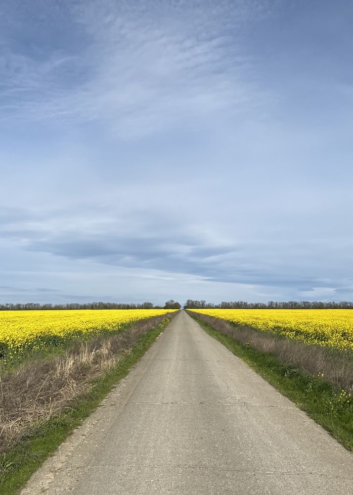 Photograph by Наталья Овсянникова