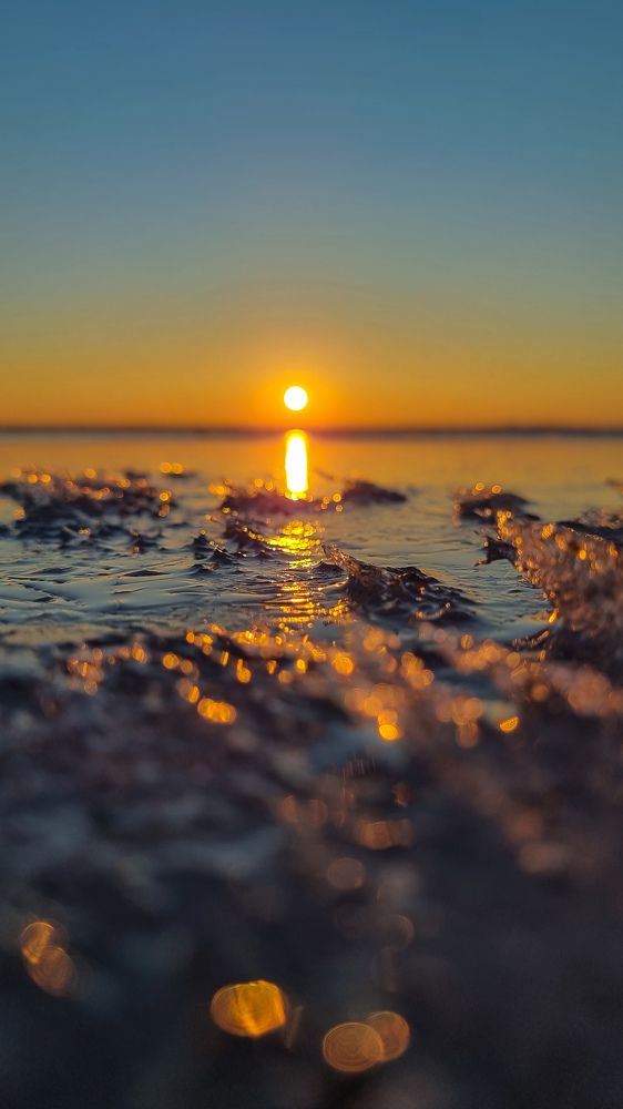 Ледяные гребни