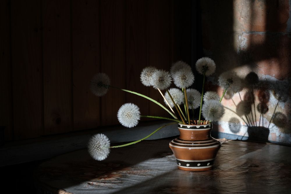 Photograph by Татьяна Михайлова