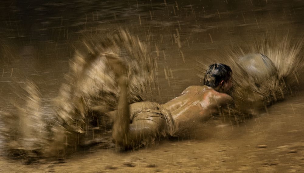 Фотография автора PHAN MINH MINH TAM