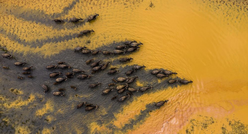 Photograph by PHAN MINH MINH TAM