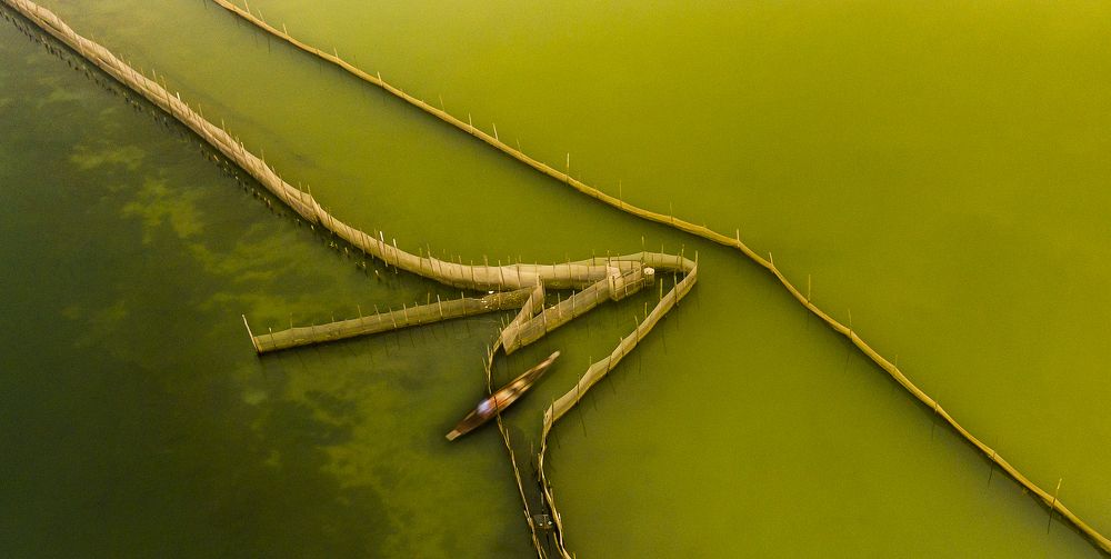 Photograph by PHAN MINH MINH TAM