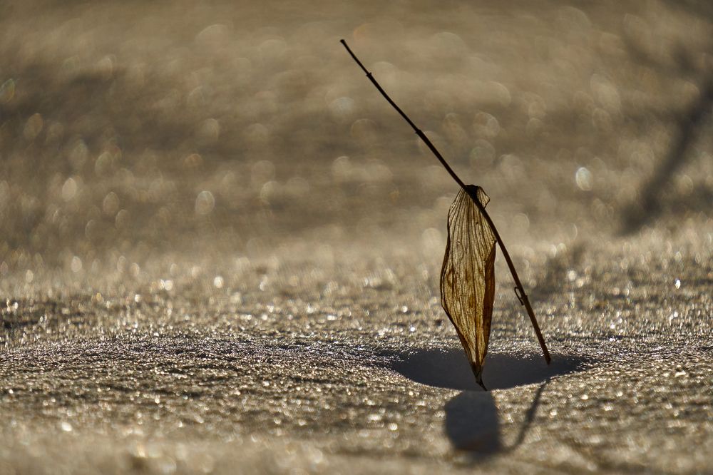 Фотография автора Игорь Игоревич