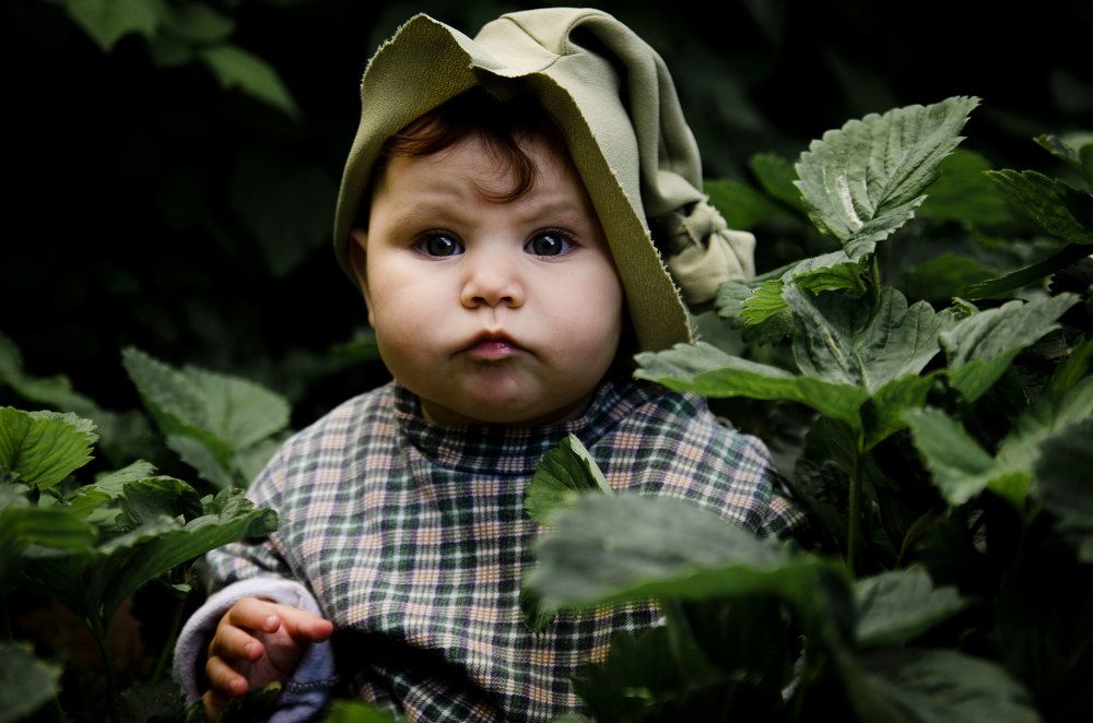 Photograph by Михаил Иванович