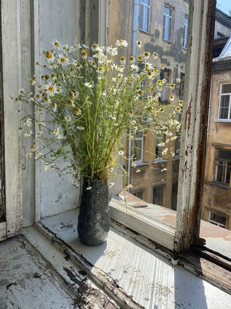 Photograph by Юлия Дерябкина