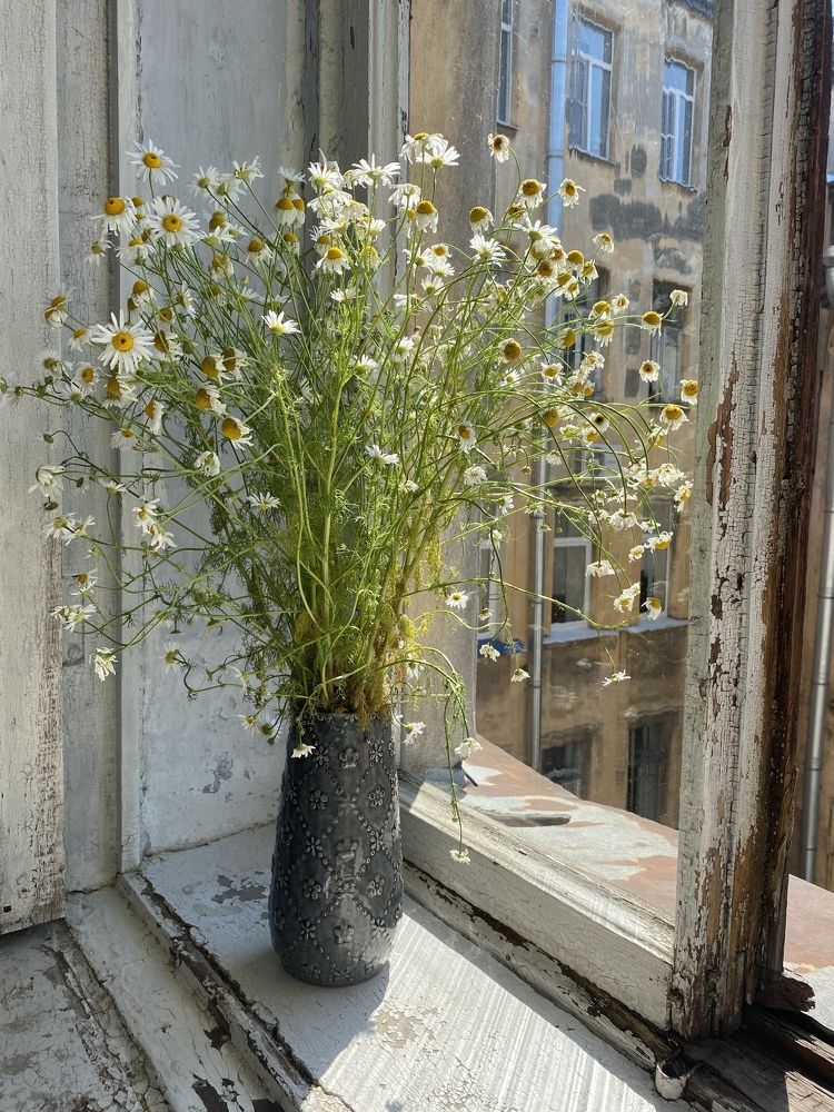 Photograph by Юлия Дерябкина