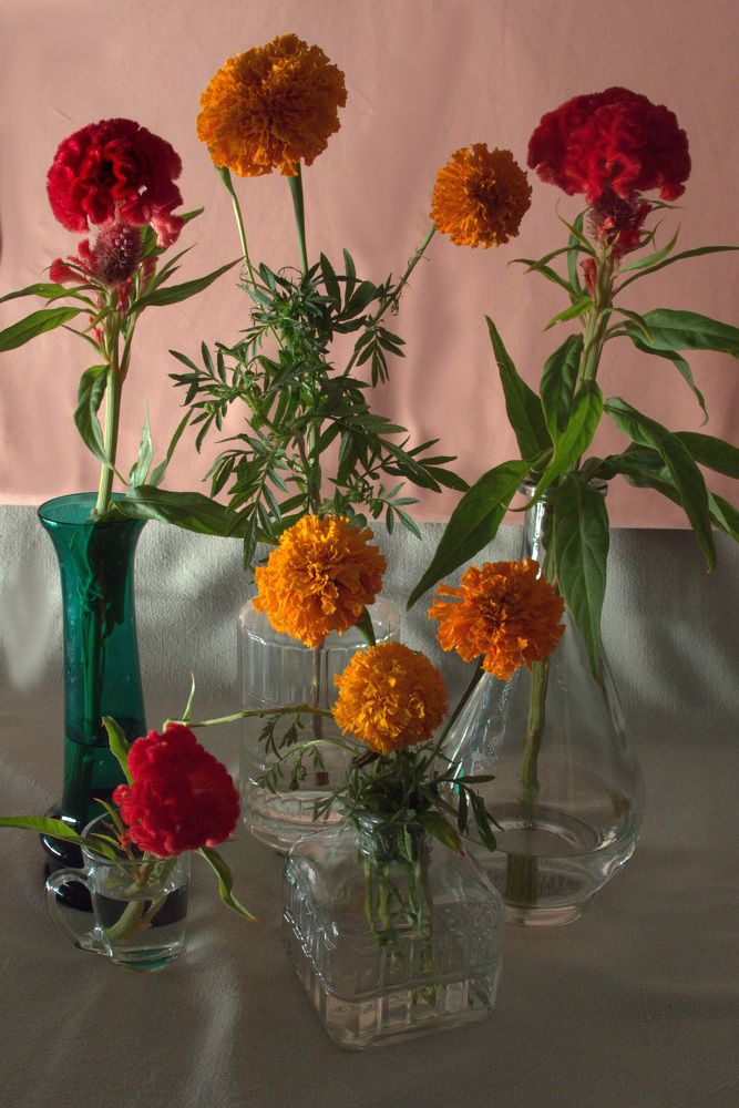 Photograph by Alla Shapochnik