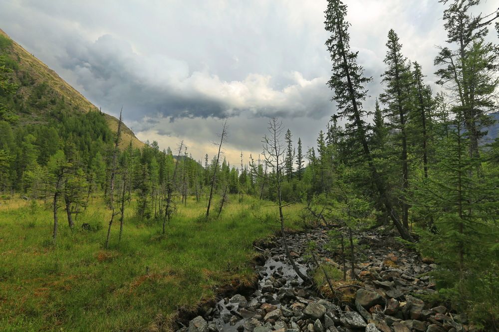 Photograph by Ирина Сушко