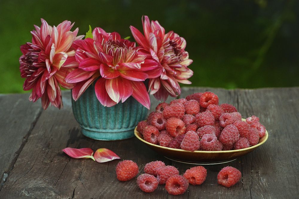 Photograph by Соколова Елена