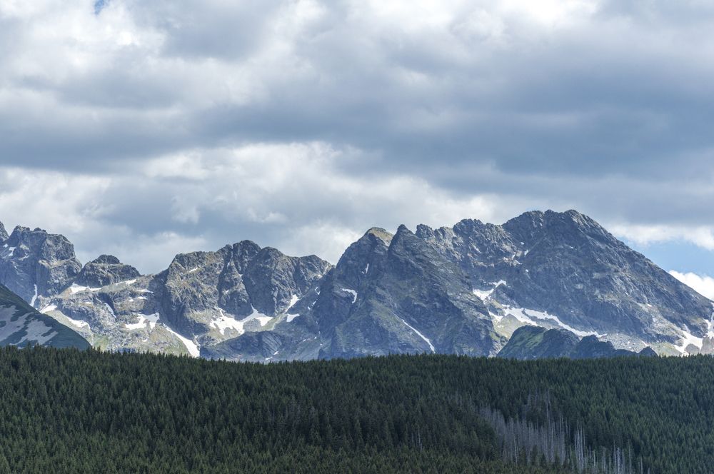 Photograph by Тема Амельянчик