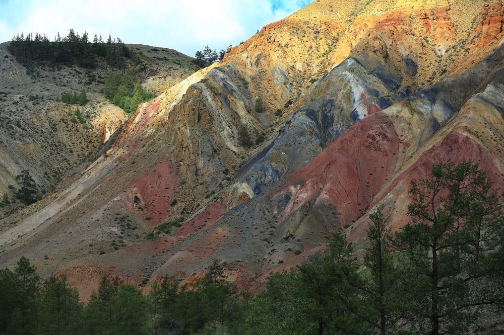 Photograph by Ирина Сушко