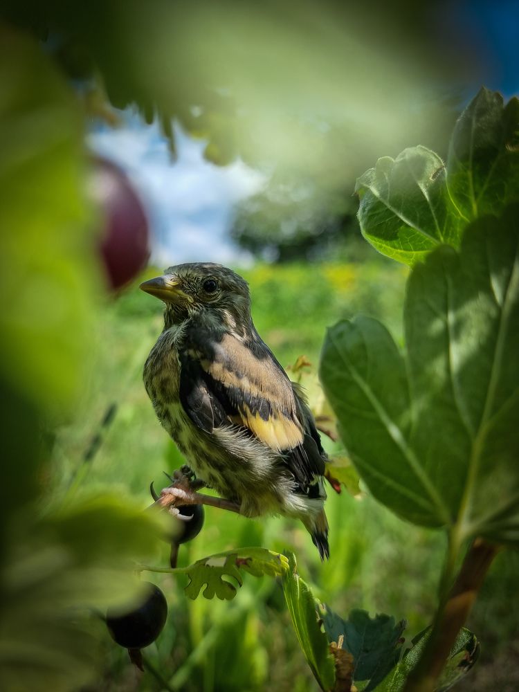 Photograph by Sergey Bichko