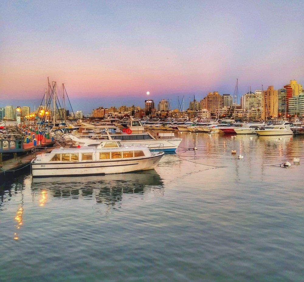 Photograph by Rosy Grass