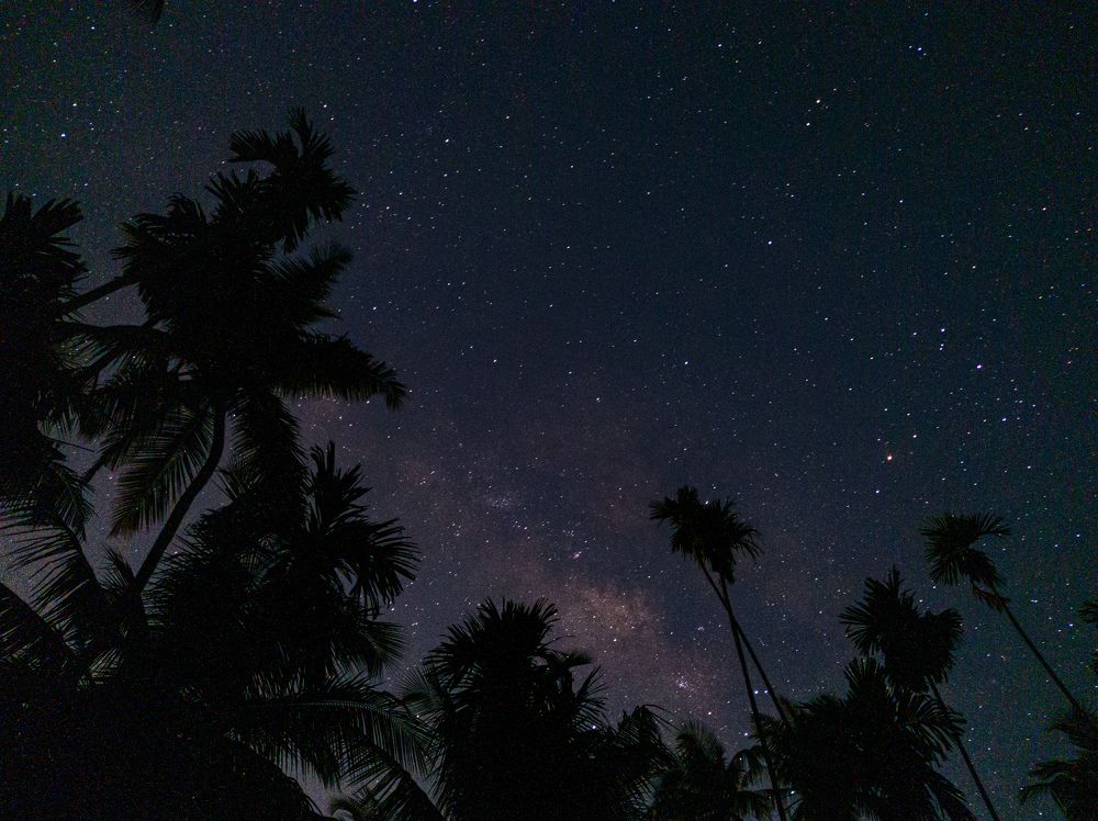 Photograph by Vaishnav K V