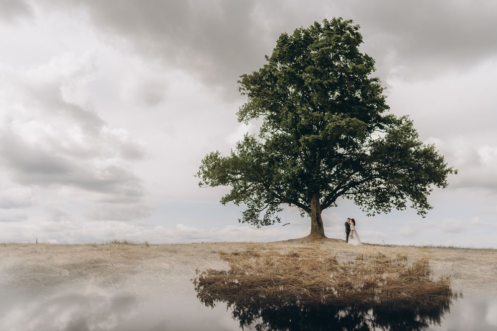 Зазеркалье