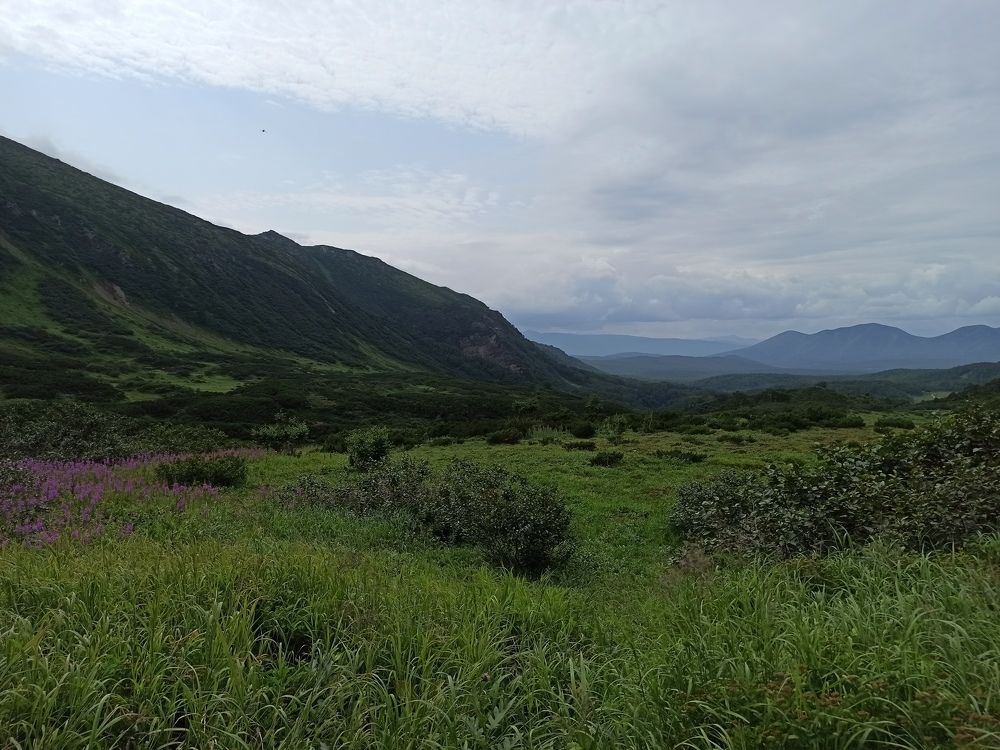 Фотография автора Anna Serova