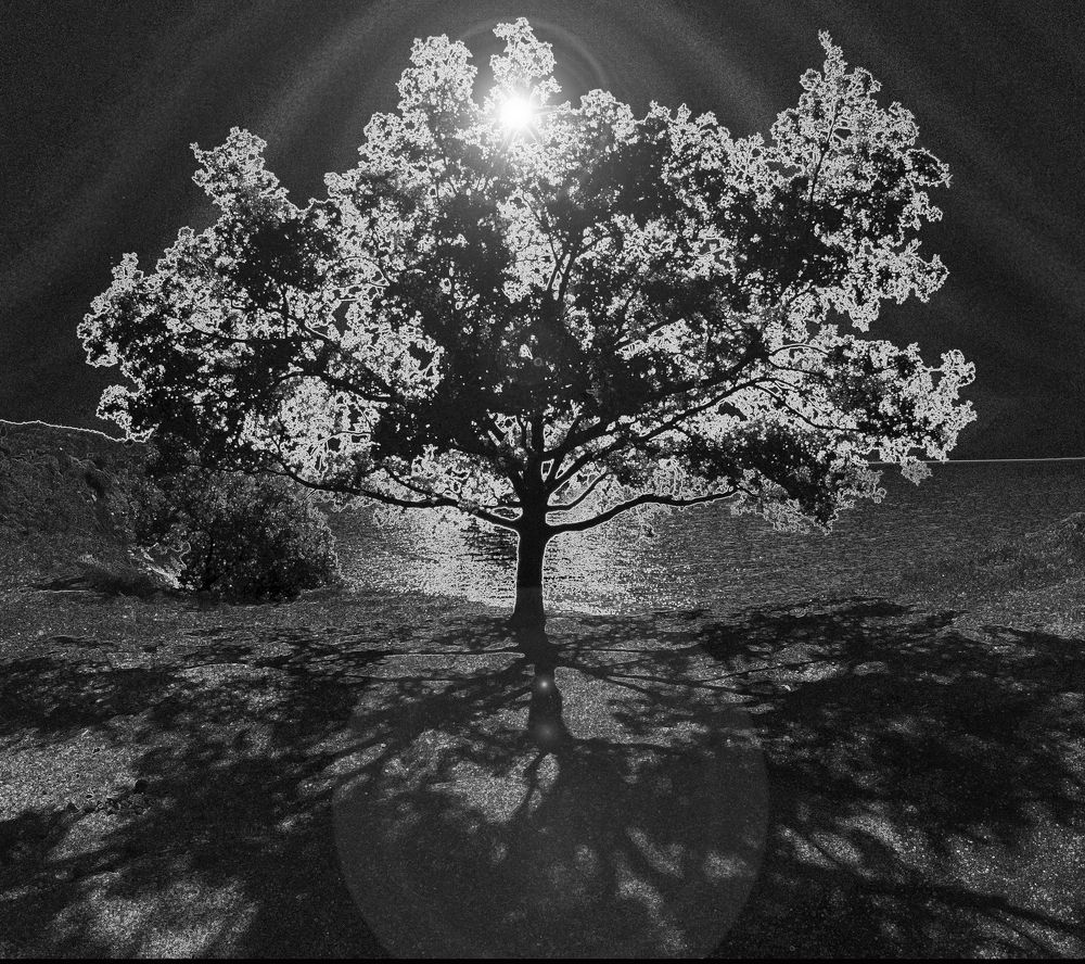 Свет рождает тени  Light creates shadows