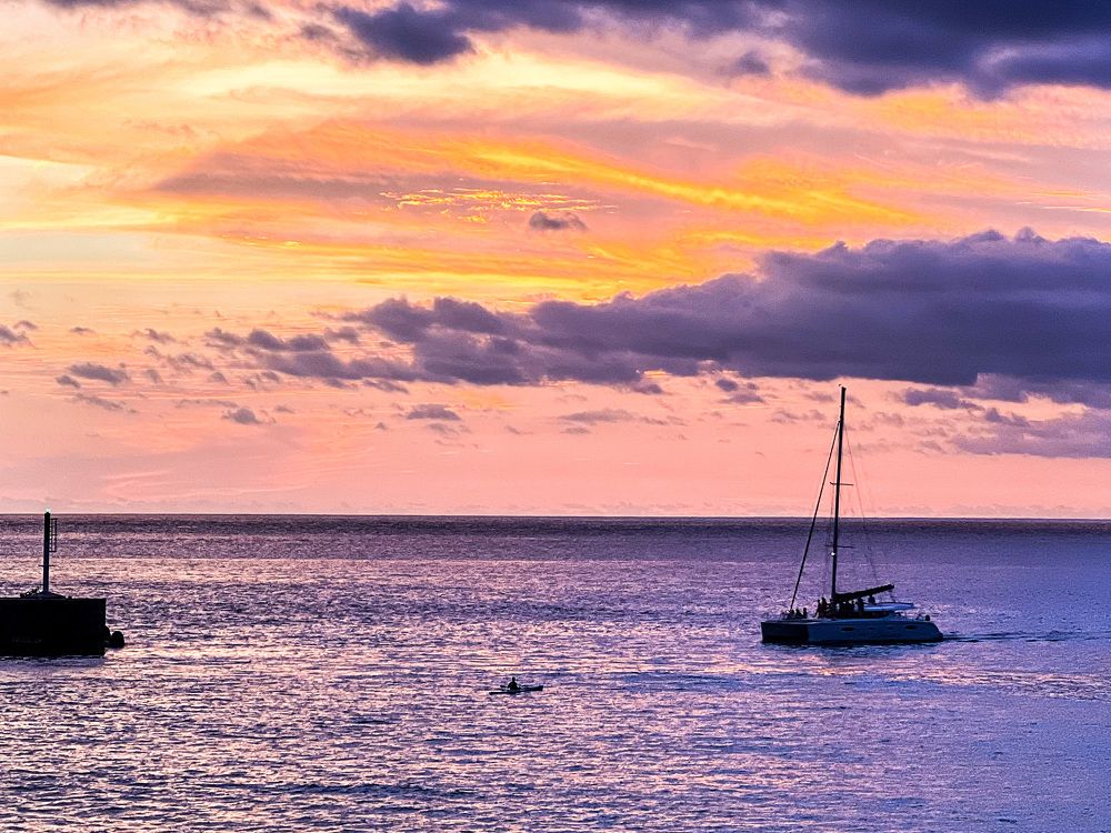 Photograph by Christine ECHEVET-ADAM de VILLIERS