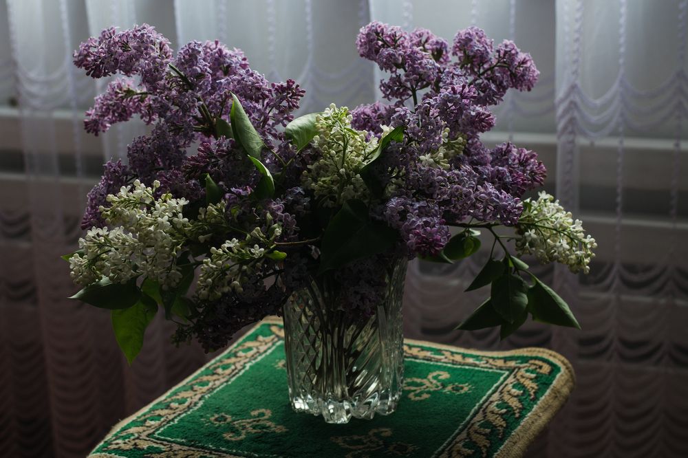 Photograph by Вячеслав Куксенков