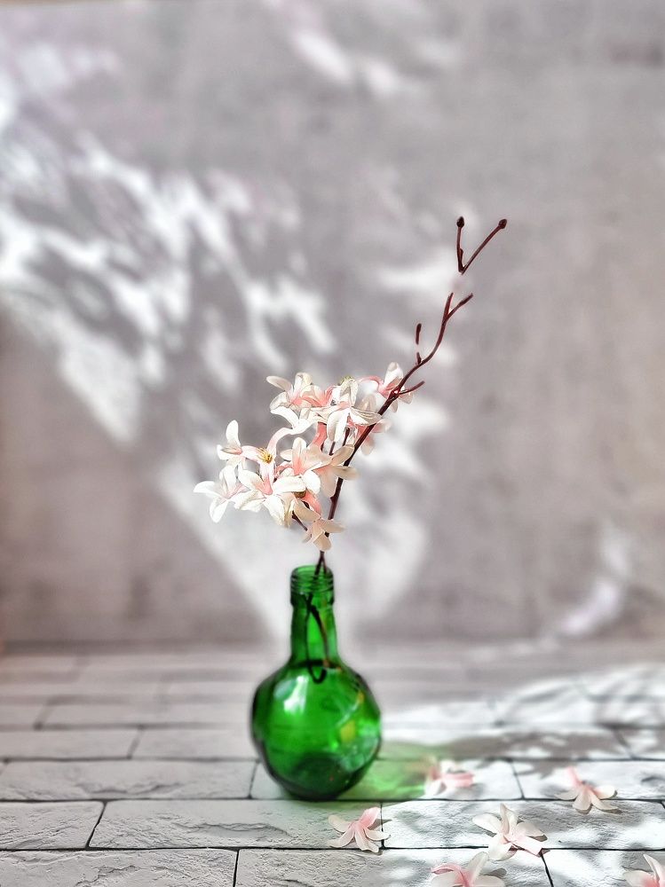 Фотография автора Светлана Алексеева